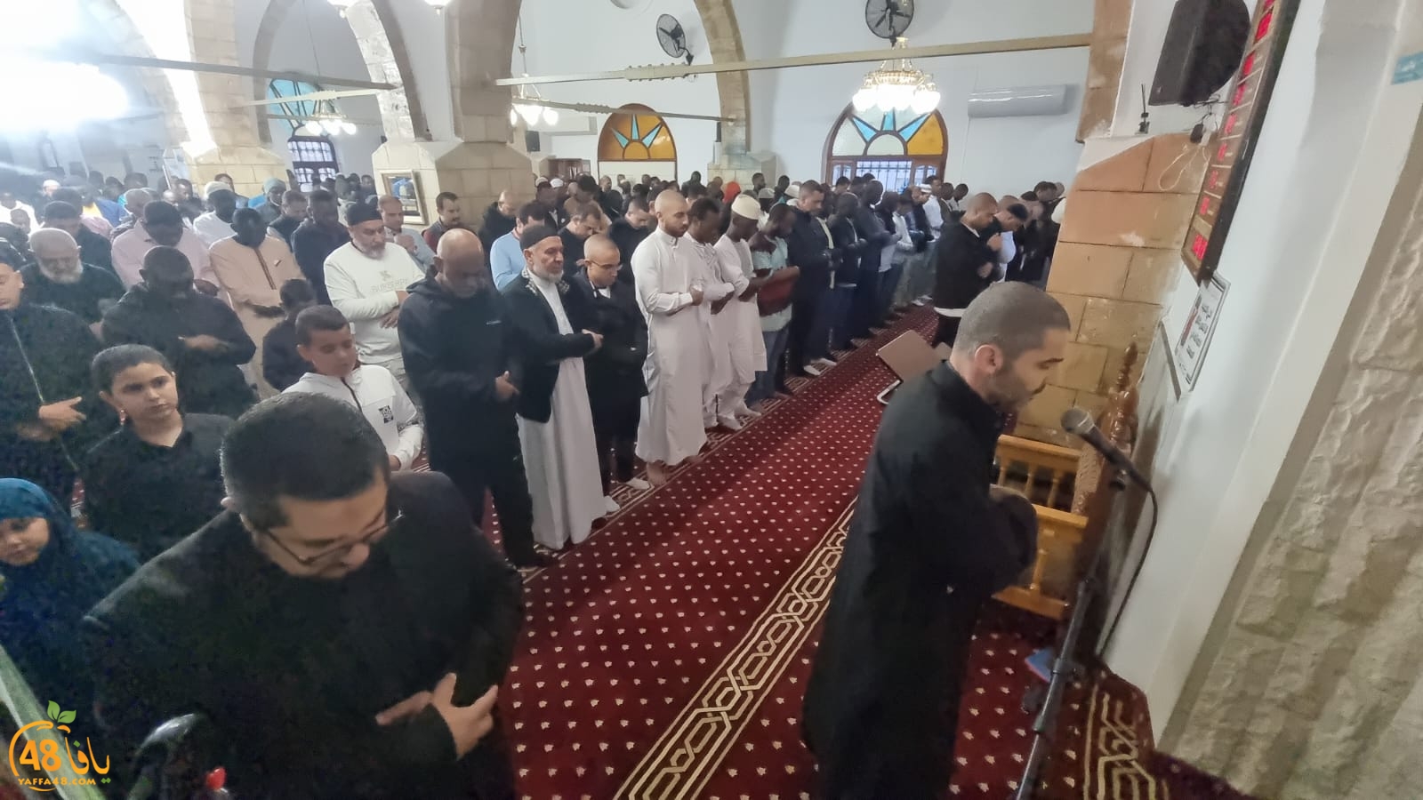 WhatsApp Image 2024-04-10 at 6.58.38 AM.jpeg